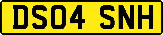 DS04SNH
