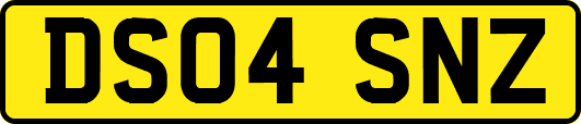DS04SNZ