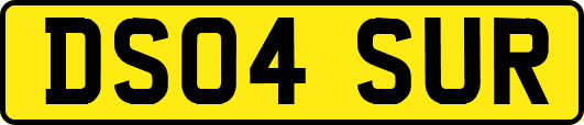 DS04SUR