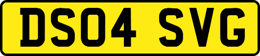 DS04SVG
