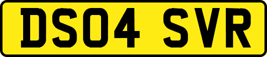 DS04SVR