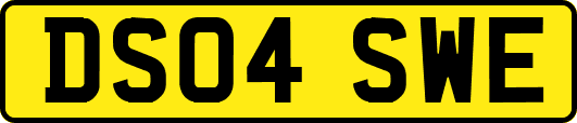 DS04SWE