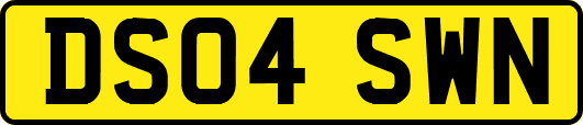 DS04SWN