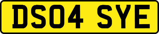 DS04SYE