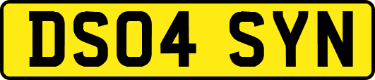 DS04SYN