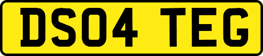 DS04TEG