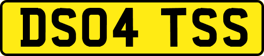 DS04TSS