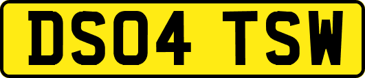 DS04TSW