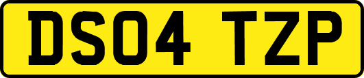 DS04TZP