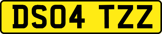 DS04TZZ