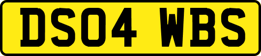 DS04WBS