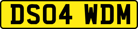 DS04WDM