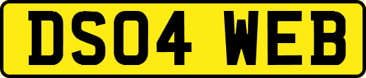 DS04WEB