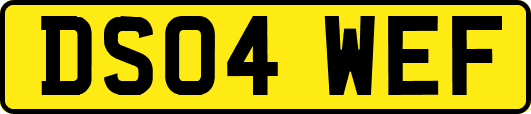 DS04WEF