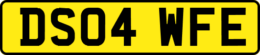 DS04WFE