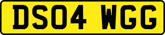 DS04WGG