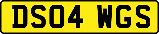 DS04WGS