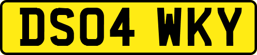DS04WKY