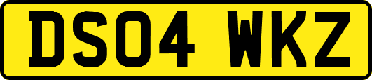 DS04WKZ