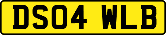 DS04WLB