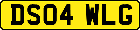 DS04WLG