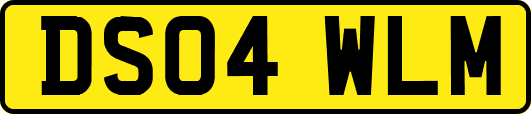 DS04WLM