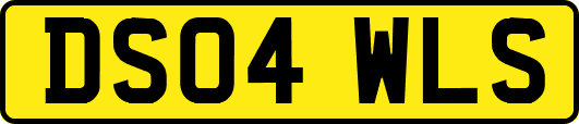 DS04WLS