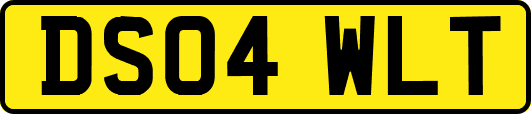 DS04WLT
