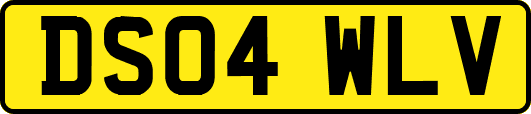 DS04WLV