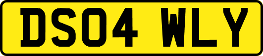 DS04WLY