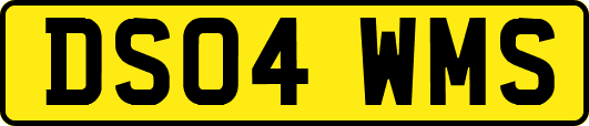 DS04WMS