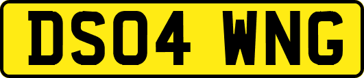 DS04WNG