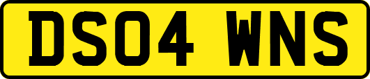 DS04WNS