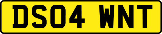 DS04WNT