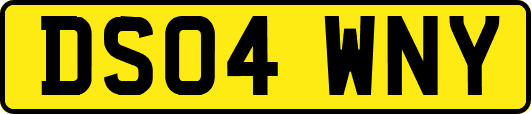 DS04WNY