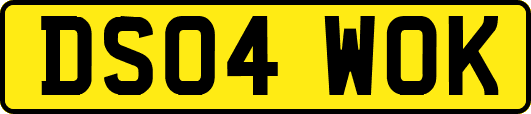 DS04WOK