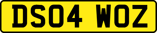 DS04WOZ