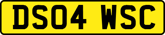DS04WSC
