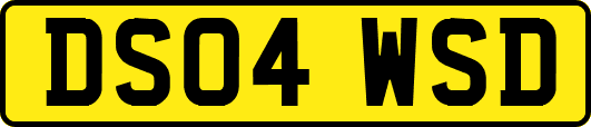 DS04WSD
