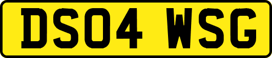 DS04WSG