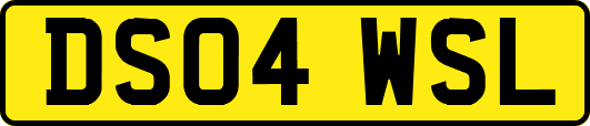 DS04WSL