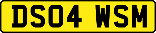 DS04WSM