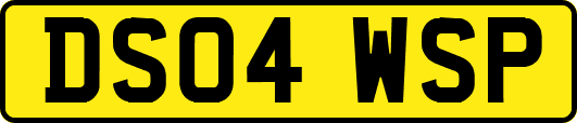 DS04WSP