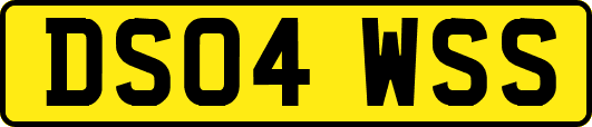 DS04WSS