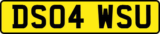 DS04WSU