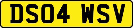 DS04WSV