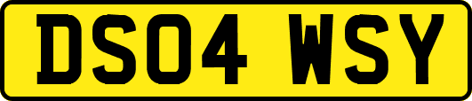 DS04WSY