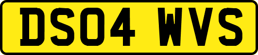 DS04WVS
