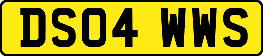DS04WWS