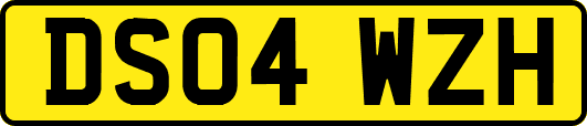 DS04WZH